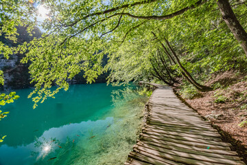 Wooden bridge footpath over a small lake with bulrush in The Plitvice Lakes National Park in Croatia Europe.