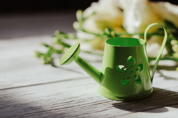 Garden watering can on the background of flowers and wooden figured boards.