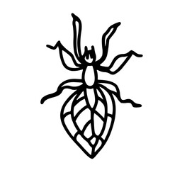 Bugs outline leaf grasshopper 