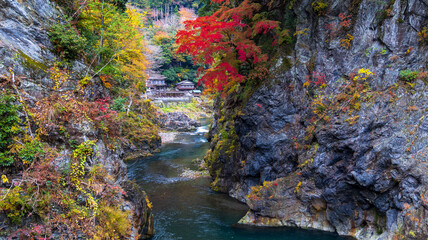 鳩ノ巣渓谷の紅葉