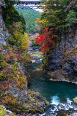 鳩ノ巣渓谷の紅葉