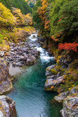 鳩ノ巣渓谷の紅葉