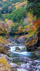 鳩ノ巣渓谷の紅葉
