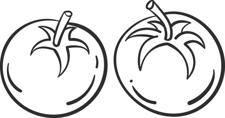 Sketch tomato vegetable icon vector illustration. Black line contour sketch vegetable icon on white background for restaurant menu vintage design