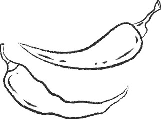 Chalked sketch chili pepper vegetable icon vector illustration. White chalk style line hand drawn vegetable sketch icon for restaurant menu promo design