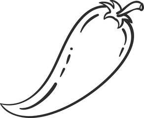 Sketch jalapeno vegetable icon vector illustration. Black line contour sketch vegetable icon on white background for restaurant menu vintage design