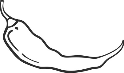 Sketch chili pepper vegetable icon vector illustration. Black line contour sketch vegetable icon on white background for restaurant menu vintage design