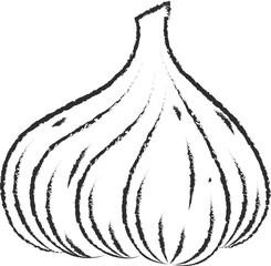 Chalked sketch garlic vegetable icon vector illustration. White chalk style line hand drawn vegetable sketch icon for restaurant menu promo design