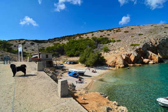 Baia di Koromacno isola di Cres Croazia