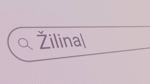 Search Bar Zilina 
Close Up Single Line Typing Text Box Layout Web Database Browser Engine Concept
