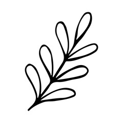 Hand drawn sketch leaf isolated on white background