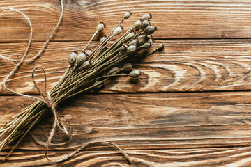 top view dry poppies wooden