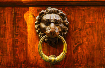 lion head knocker