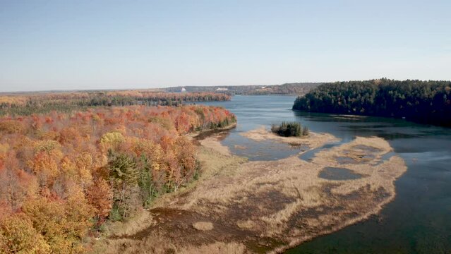 Au Sable River in Michigan during fall colors with drone video moving low and forward.