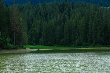 Picturesque view of clear lake near forest