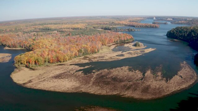 Au Sable River in Michigan during fall colors with drone video moving forward wide shot.