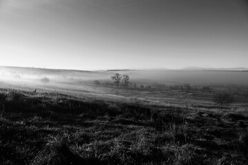 foggy morning landscape with sunrise