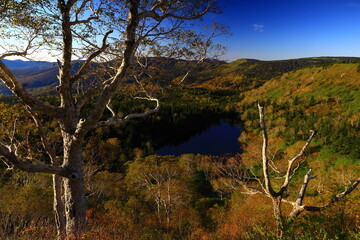 岩手県八幡平　紅葉の熊沼