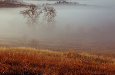 foggy morning landscape with sunrise