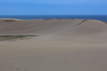 夜明けの鳥取砂丘 Tottori sand dunes at dawn Japan