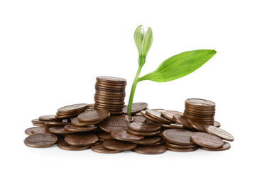 Coins and green plant on white background. Successful investment