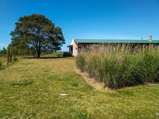 Obraz premium Countryside ranch, maldonado, uruguay