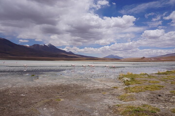 Bolivians mountains