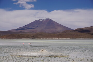 Bolivians mountains