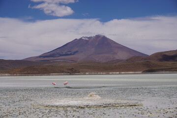 Bolivians mountains