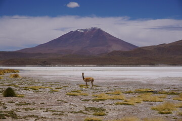 Bolivians mountains