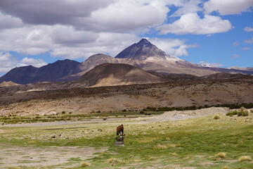 Bolivians mountains
