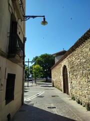 Callejuela en Pamplona con golondrinas volando