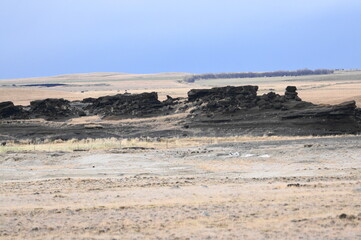 Lava Field North East of Hella, Iceland