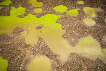 Area of dry clay soil with small puddles of dirty water and large crack formations after months without rain, drone view. Climate change and global warming concept.