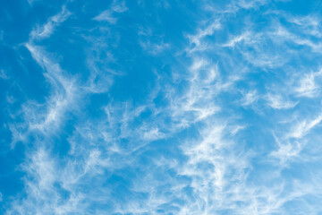Fototapeta na wymiar Background with blue sky with high cirrus clouds. Sharp white clouds of irregular, ragged shape.