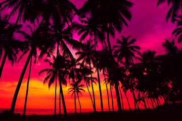 Fototapeta na wymiar Coconut palm trees silhouettes on tropical ocean beach at vivid colorful sunset