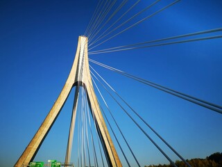 Fototapeta na wymiar 静岡方面の高速道路の斜張橋