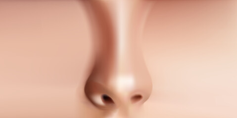 Human nose realistic front view Vector Illustration.