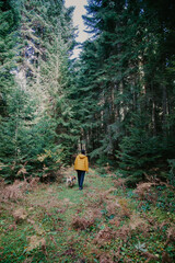 Man walking in the forest in autumn in a yellow jacket. Hiking concept.