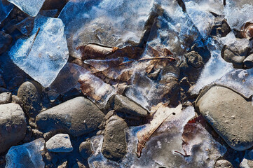 Rounded stones frozen into the ice on the banks of the Amur bask in the sun and thaw. Close up top view. Natural abstract texture background. Autumn leaf under winter ice. Copy space.