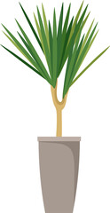 A stylish fashionable indoor plants for the house. Isolated