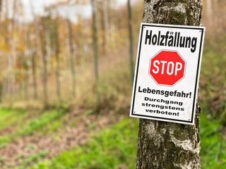 Schild mit Warnhinweis zur Holzfällung im Wald