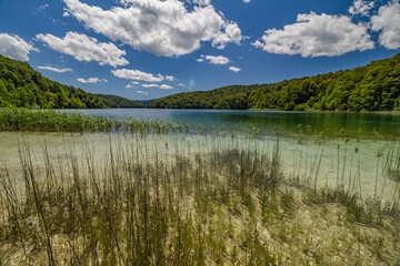 View of Plitvice Lakes with crystal clear water surrounding forest in The Plitvice Lakes National Park in Croatia Europe.