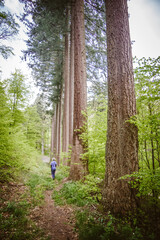 walking in the woods