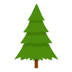 christmas tree illustration