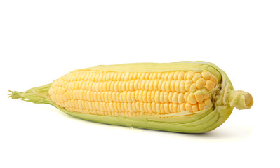 corn isolated on white background