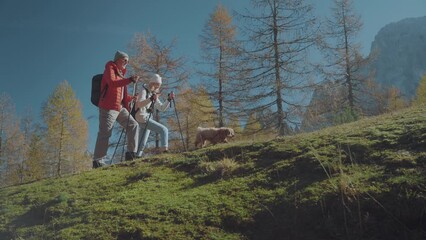 Aerial view of daughter and her senior father enjoying their outdoor hiking activity on a sunny autumnal morning. They are walking on the colorful forest trail, surrounded by beautiful mountains. Acti - Powered by Adobe