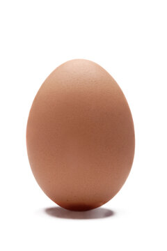 one egg isolated, png file 