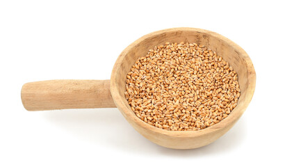 Whole grain of wheat with a jug.