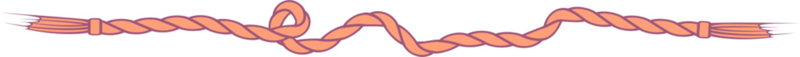 Aesthetic Rope line illustration